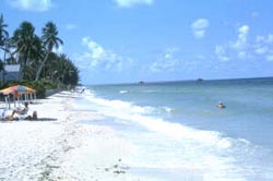 Southwest Florida beach